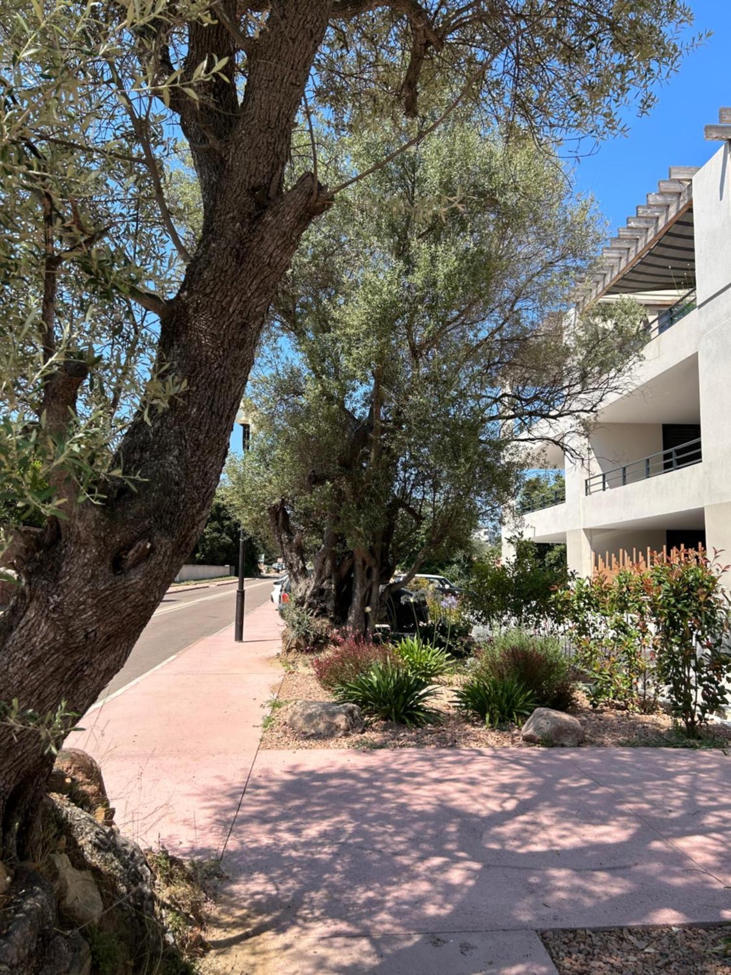 Sognu Di Serena - Superbe Appartement Avec Parking Gratuit Sur Place Porto-Vecchio  Exteriér fotografie
